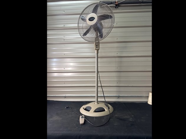 Image for Fan