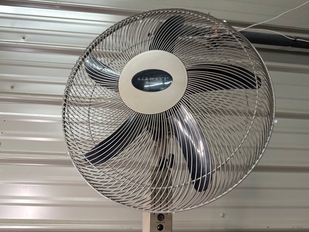 Image for Fan