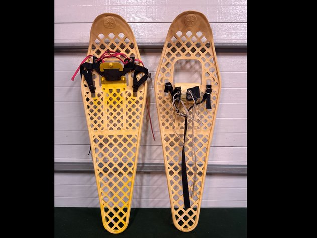 Image for Snow Shoes