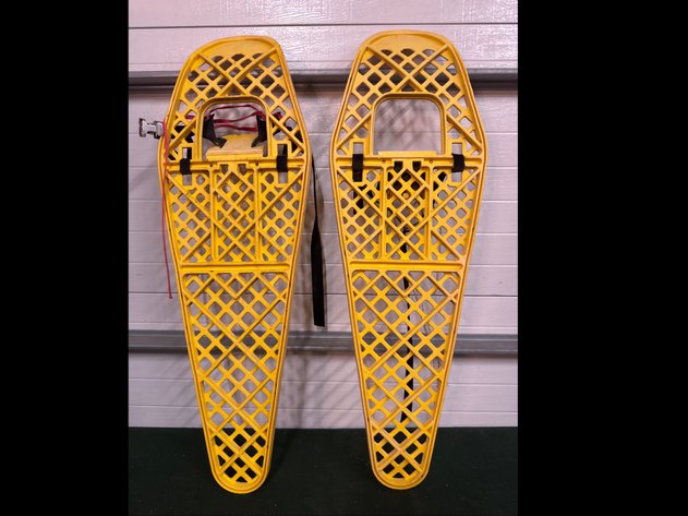 Image for Snow Shoes