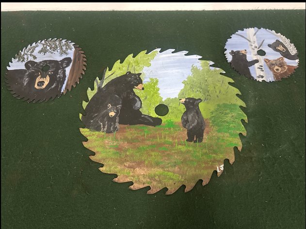 Image for Painted Saw Blades