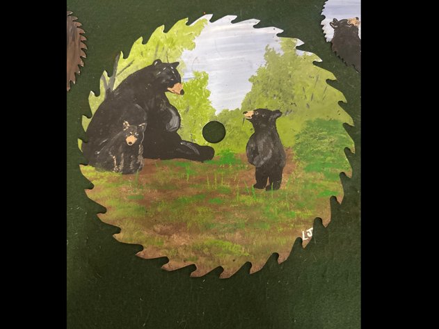 Image for Painted Saw Blades