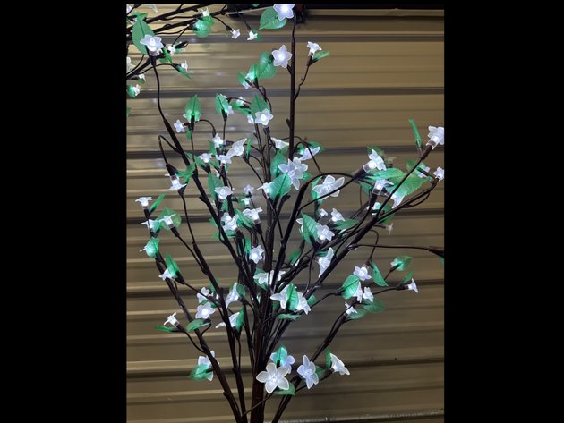 Image for Decorative Trees