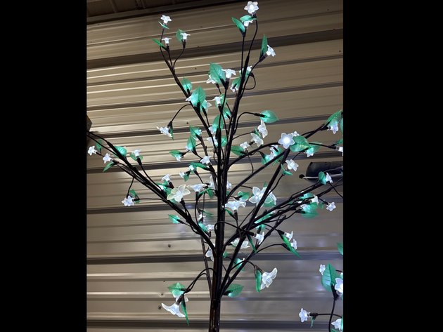 Image for Decorative Trees