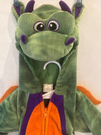 Image for Dragon Costume