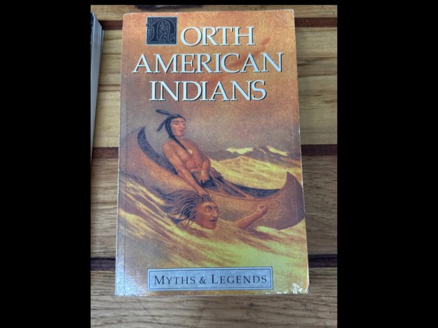 Image for Native American Books