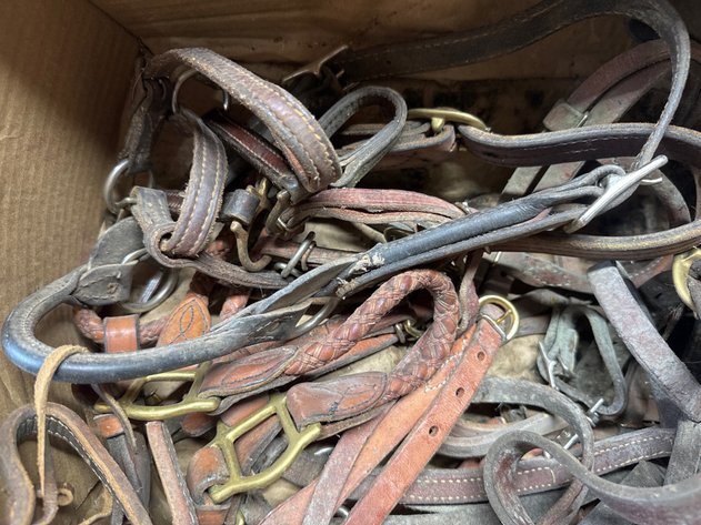 Image for Halters