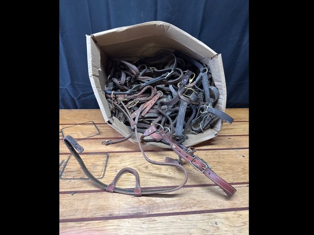 Image for Halters