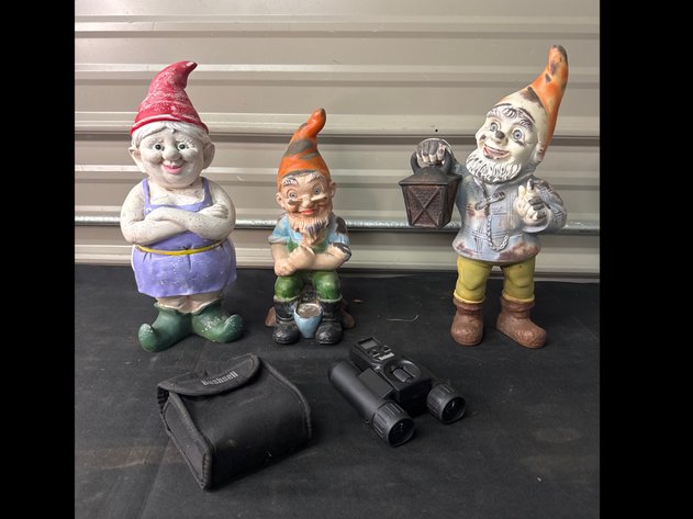Image for Gnomes