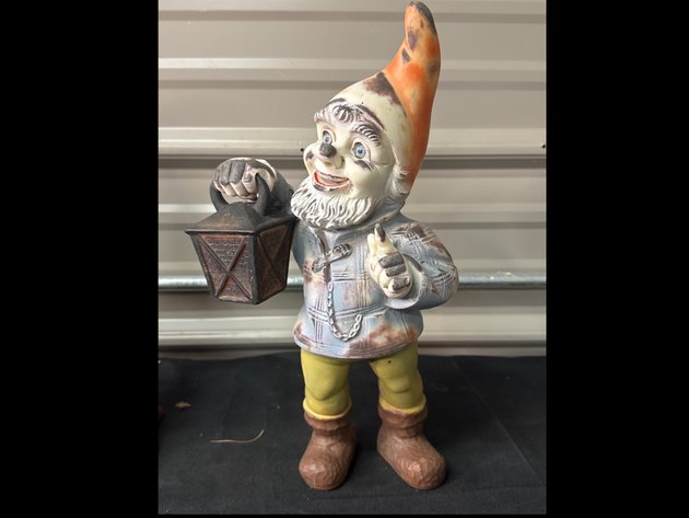 Image for Gnomes
