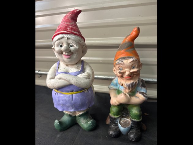 Image for Gnomes