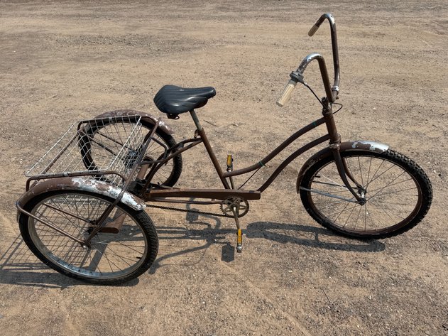 Image for Adult Tricycle
