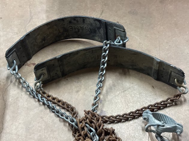 Image for Swings