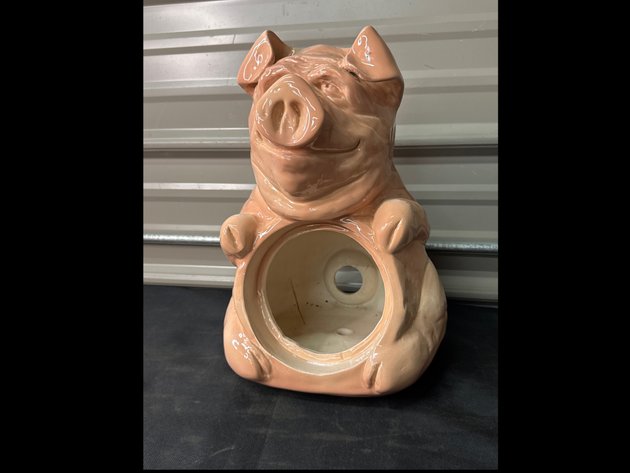 Image for Nemadji Pig