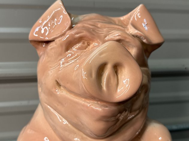 Image for Nemadji Pig