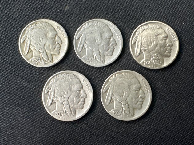 Image for Buffalo Nickels