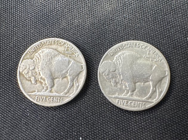 Image for Buffalo Nickels