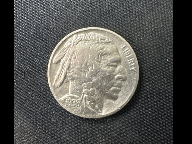 Image for Buffalo Nickels