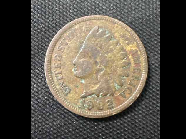 Image for Indian Head Pennies