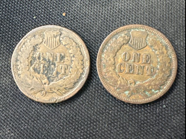 Image for Indian Head Pennies