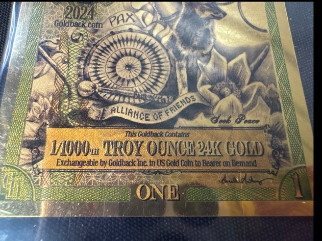 Image for Goldback