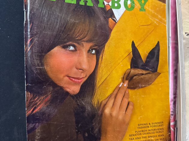 Image for Playboys
