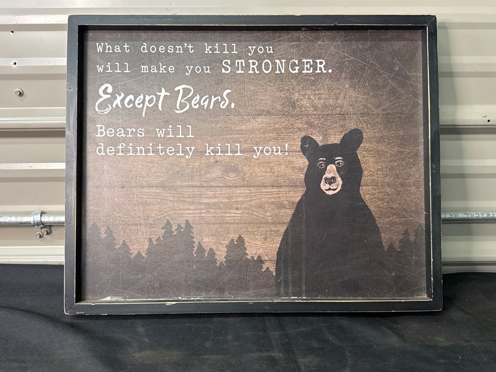 Bear Sign