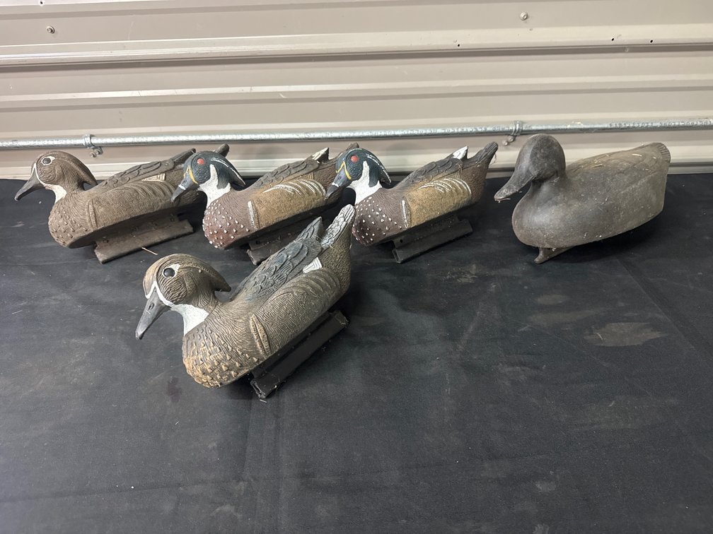 Duck Decoys