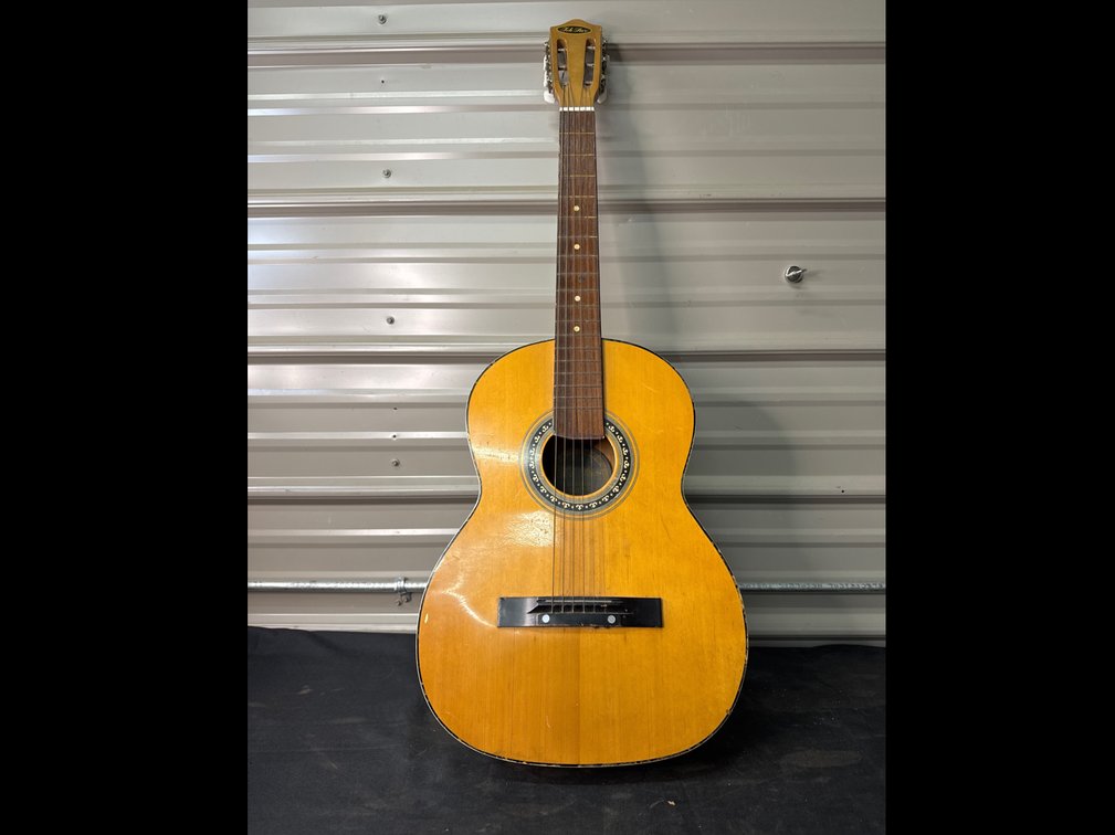 Guitar