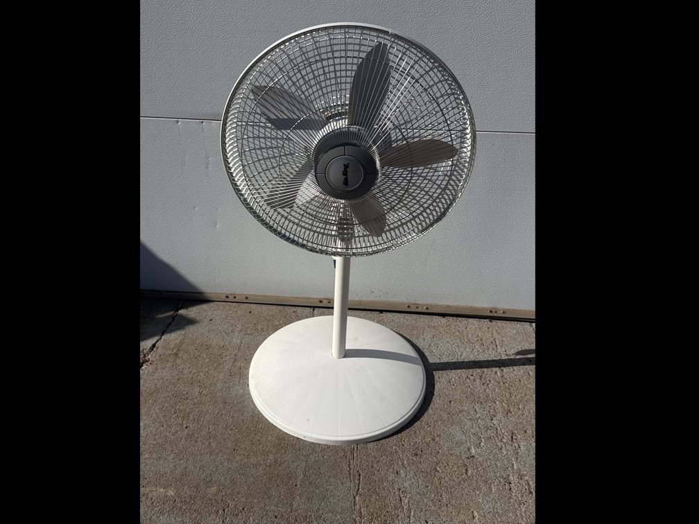 Pedestal Fan