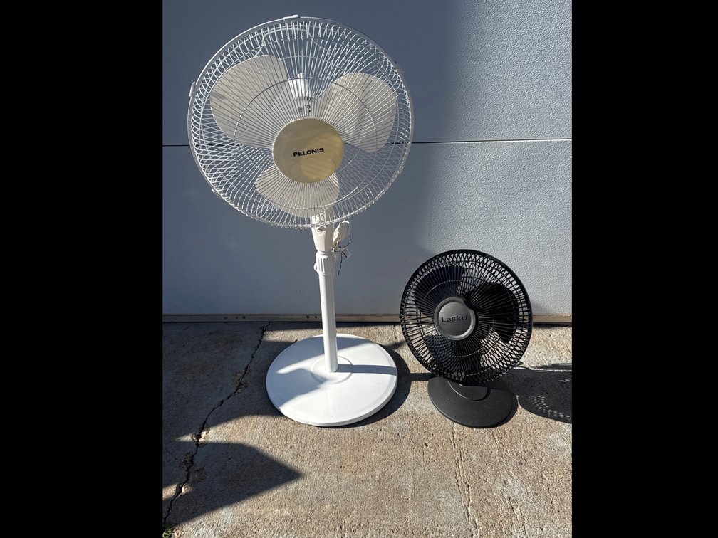 Fans