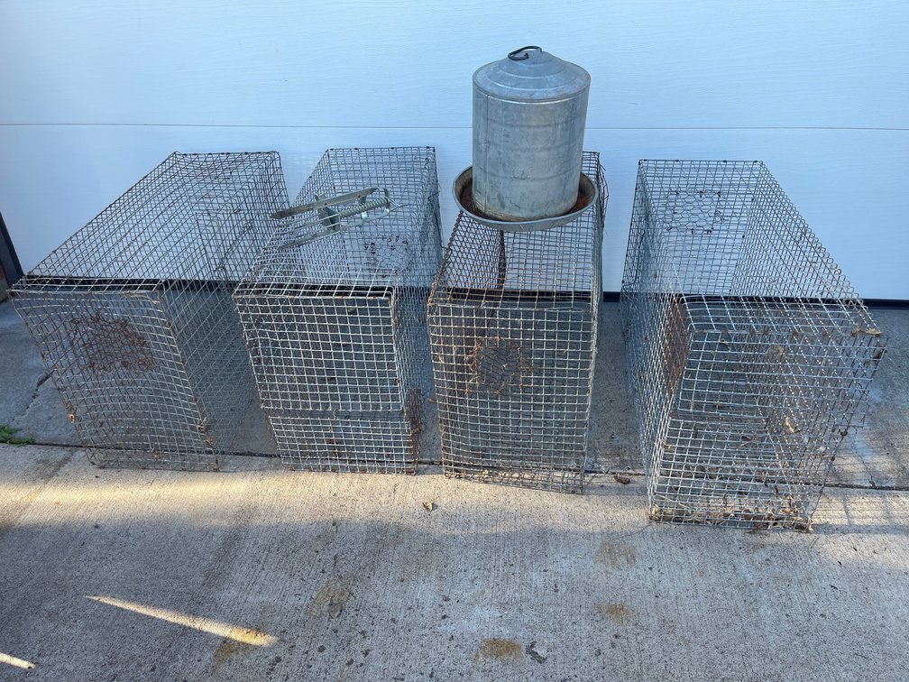 Rabbit Cages