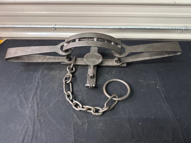 Barnum Auction #216