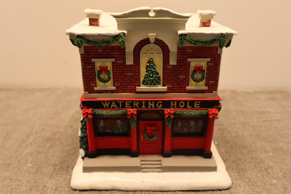 "Watering Hole" Lighted House