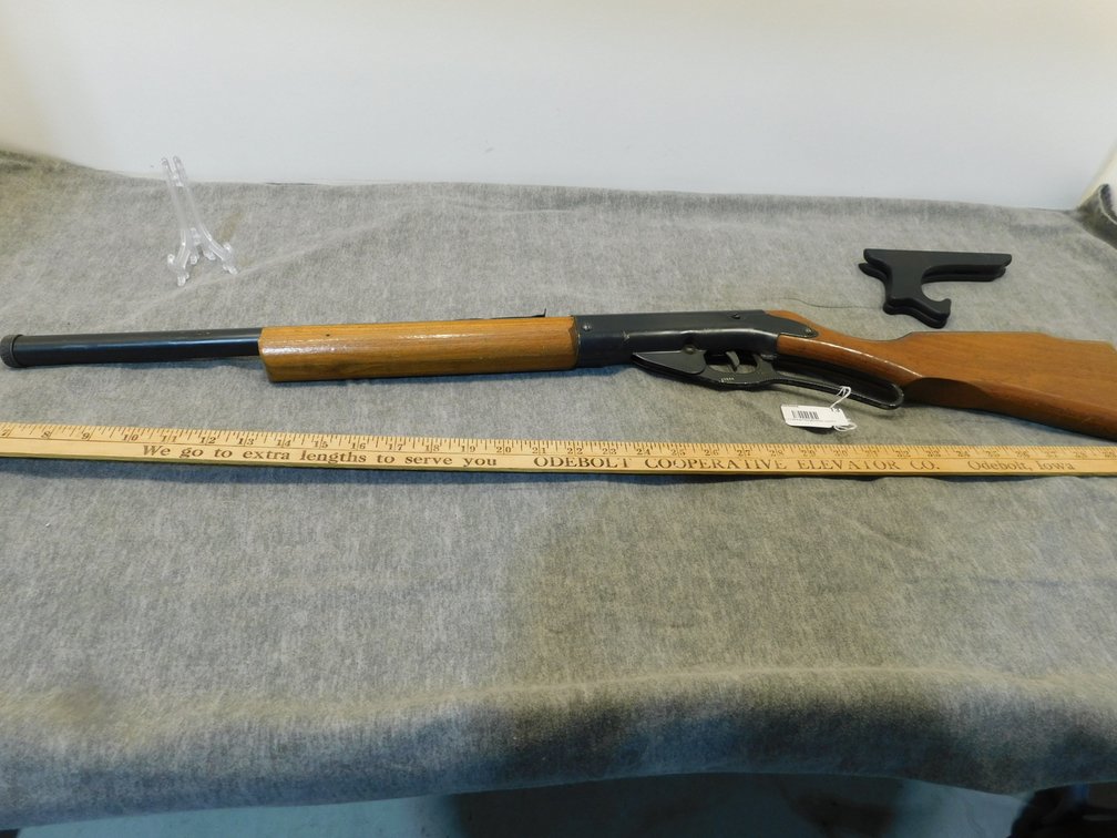 Daisy Model 96