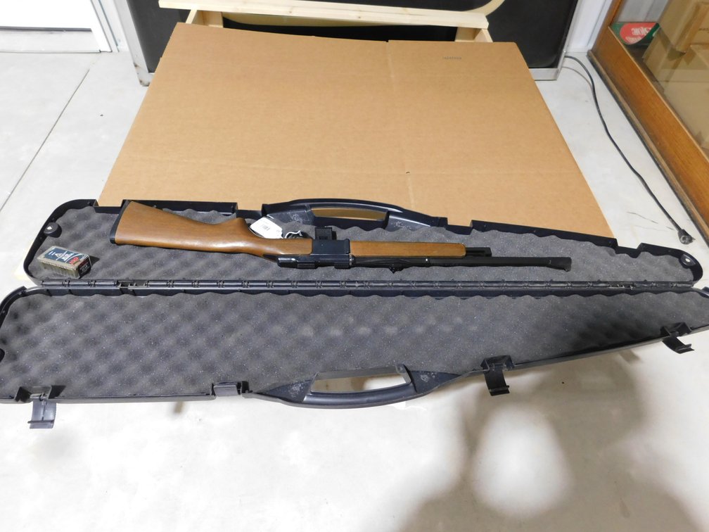 Daisy 2203 .22LR