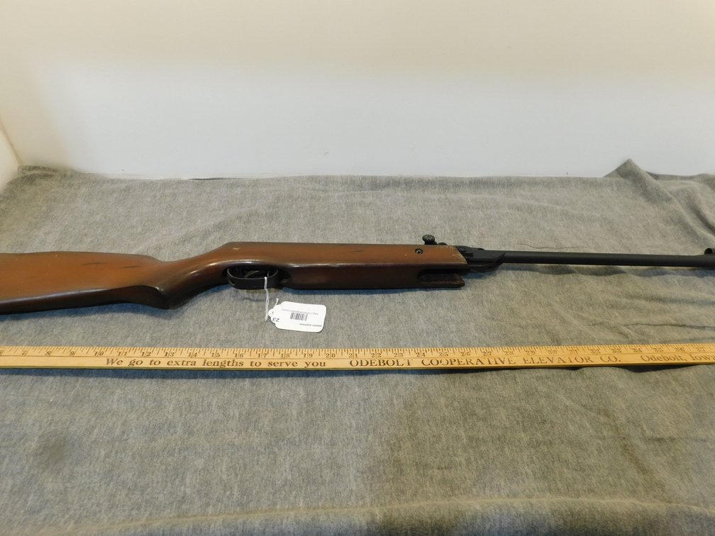 Daisy Model 131