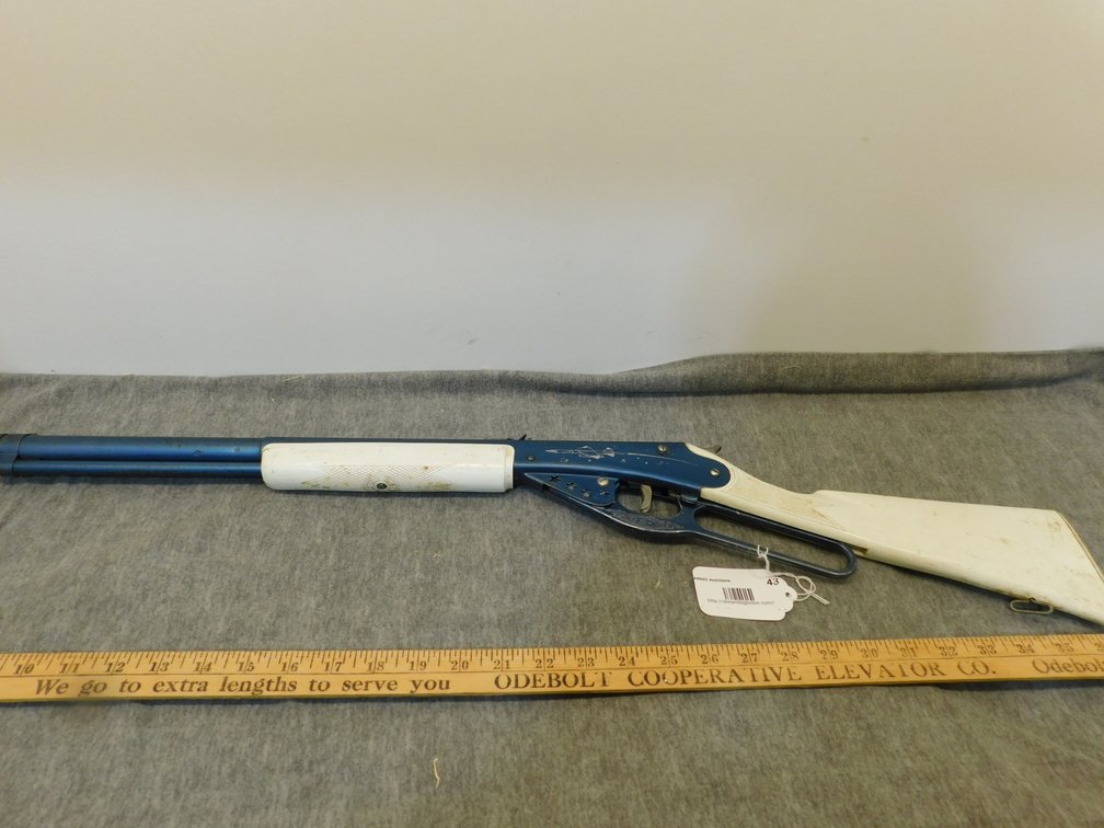 Daisy Model 110 