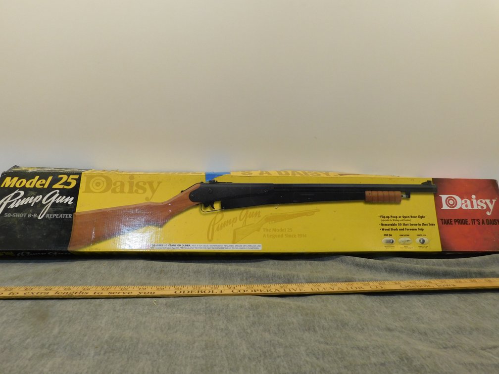 Daisy Model 25  