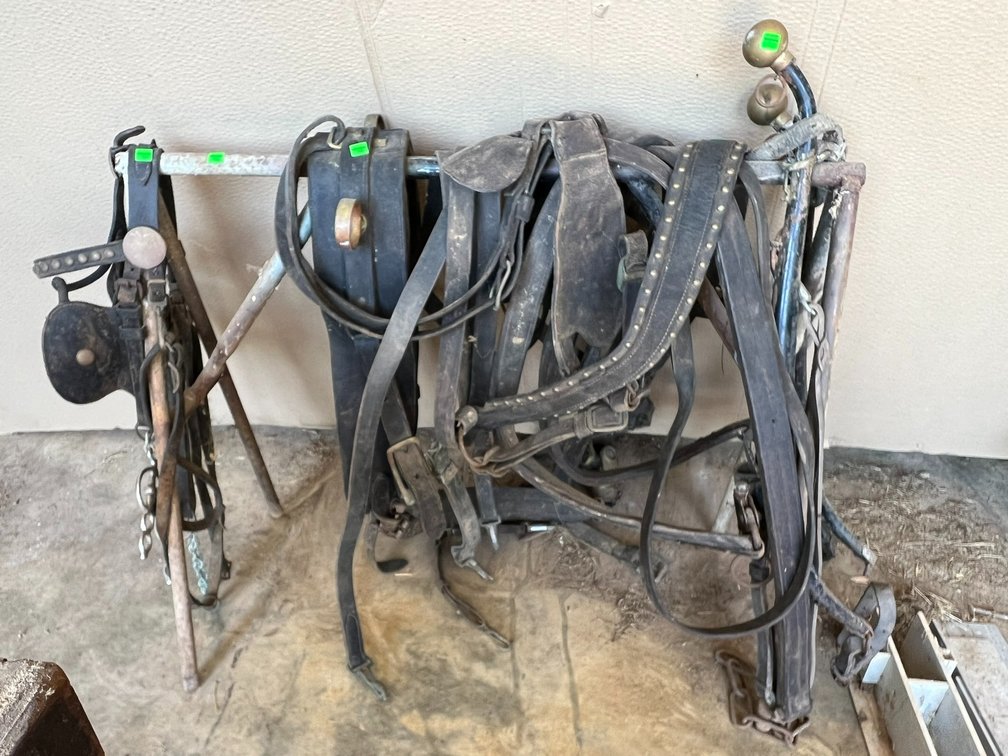 Horse harness tack