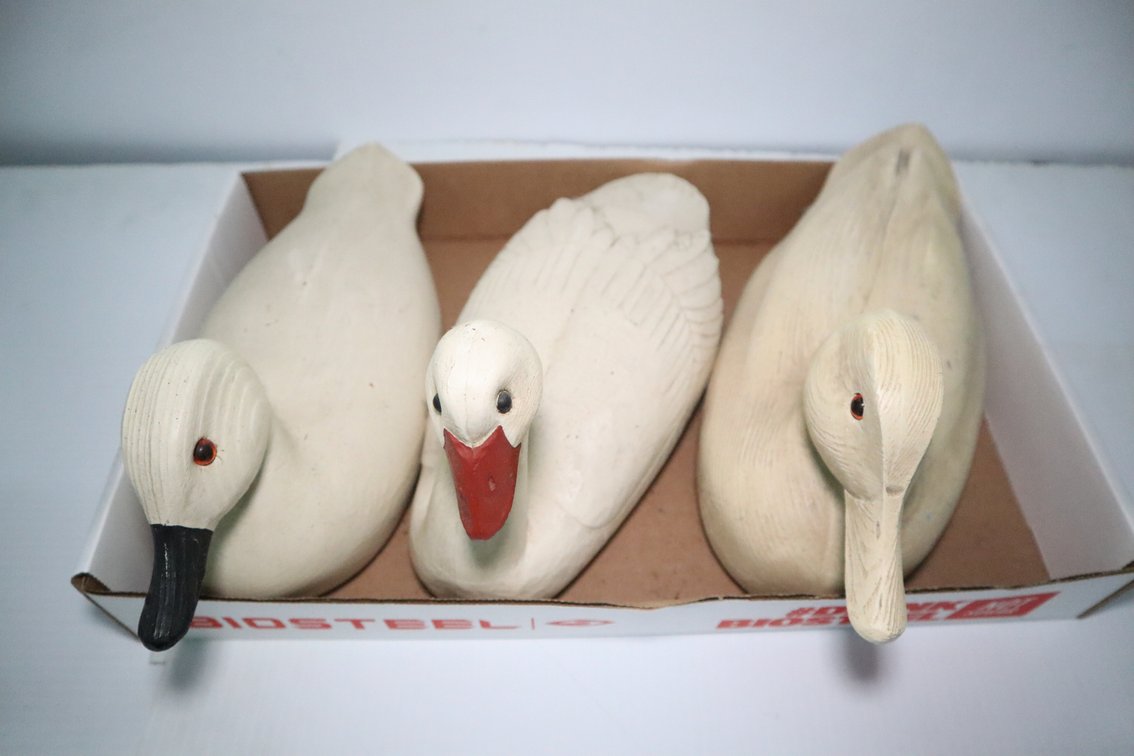 Wooden Ducks
