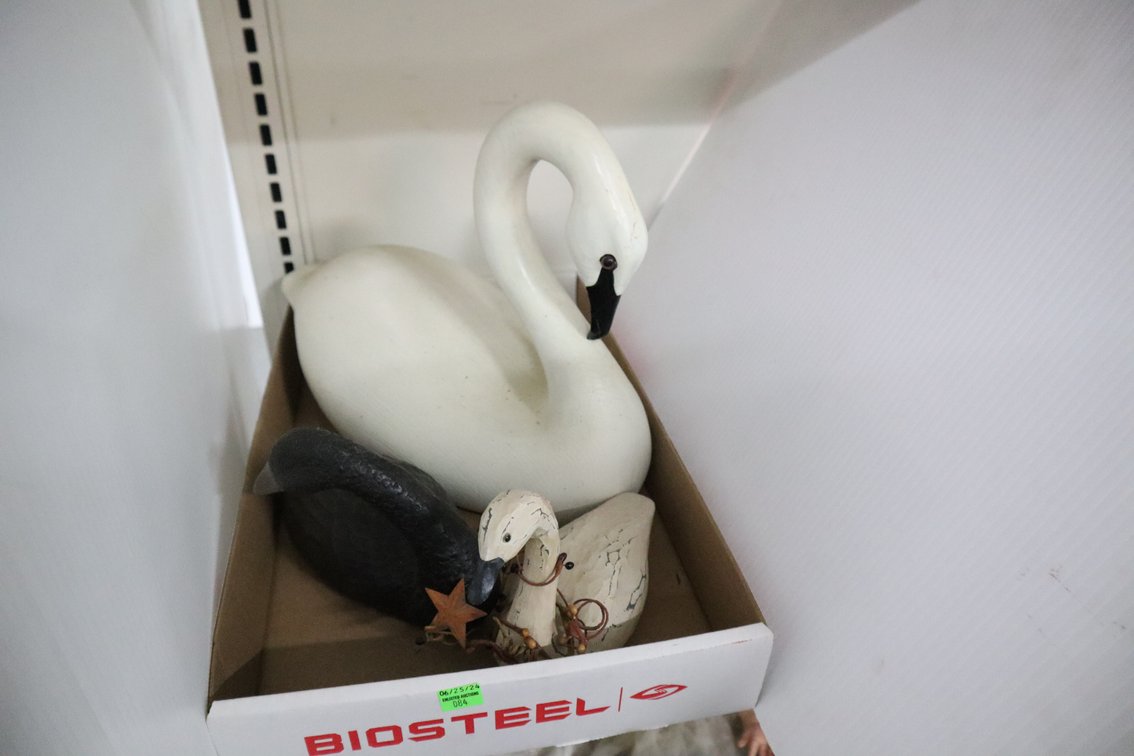 Swans