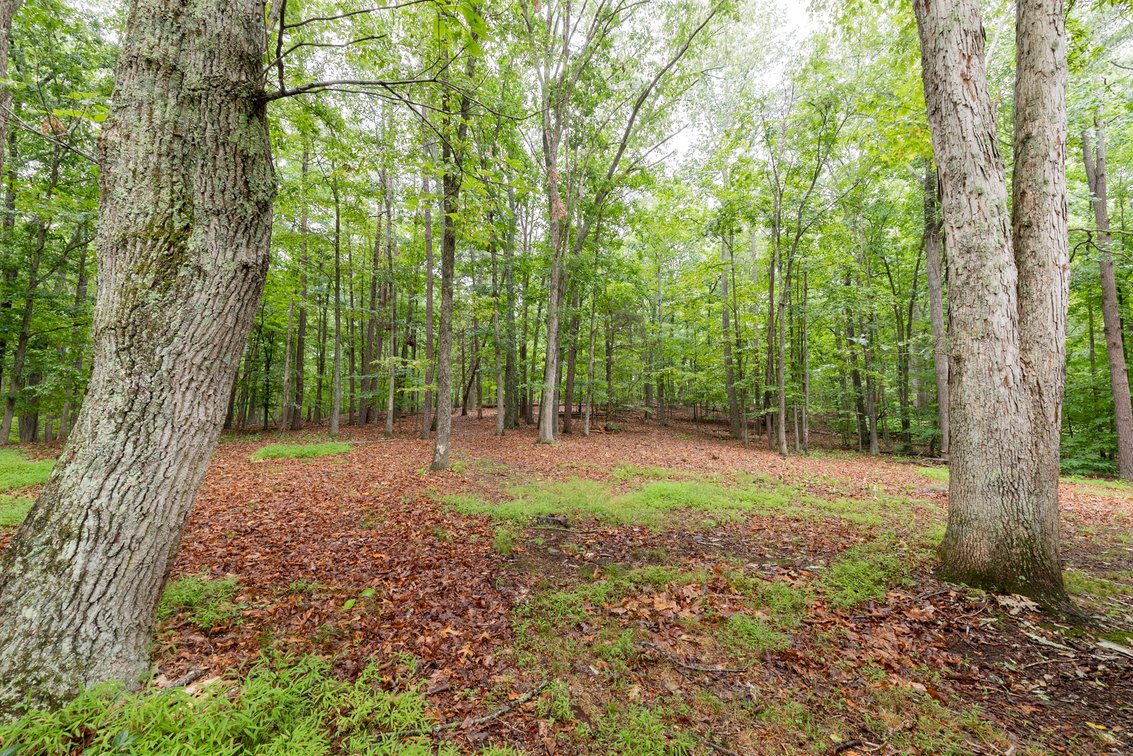 Image for Home on 15 Private Acres in the Woods