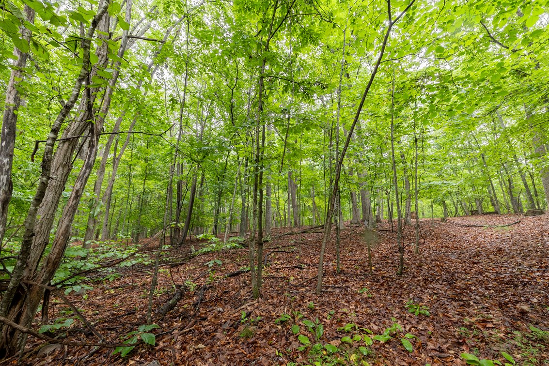 Image for Home on 15 Private Acres in the Woods