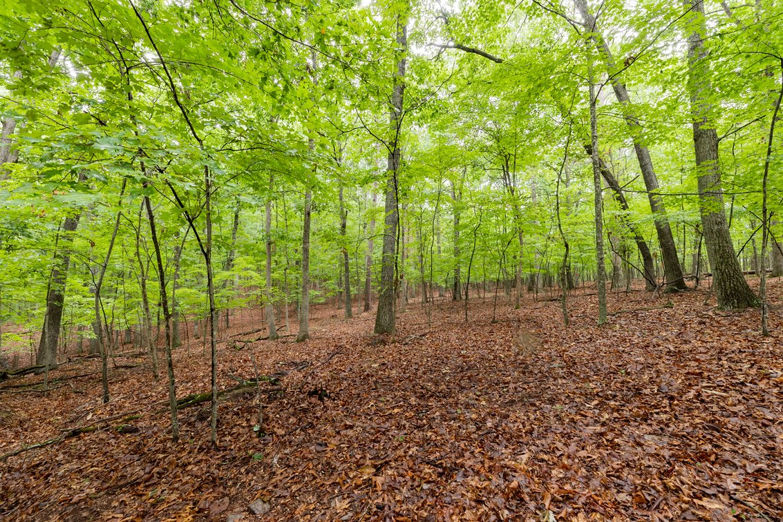 Image for Home on 15 Private Acres in the Woods