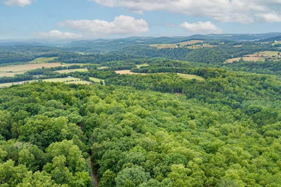 Image for Home on 15 Private Acres in the Woods