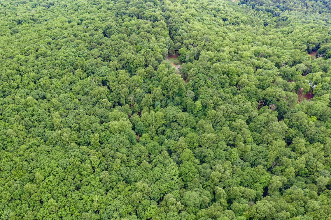 Image for Home on 15 Private Acres in the Woods
