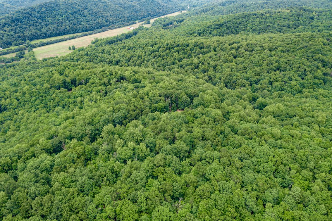Image for Home on 15 Private Acres in the Woods