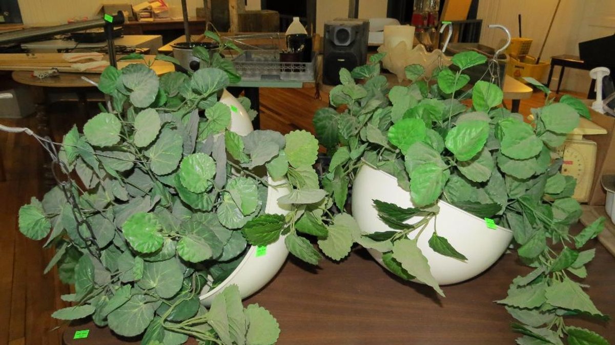 Group of hanging baskets