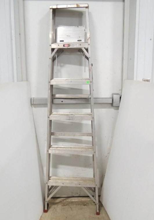 A six-foot aluminum ladder.